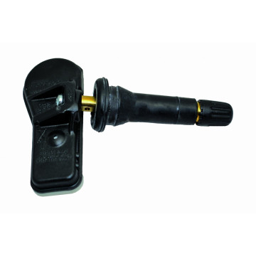 Schrader RDKS-Sensor 3069