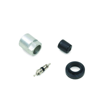 Schrader Reparatursatz 5003