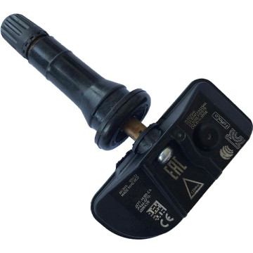 Schrader RDKS-Sensor 3109