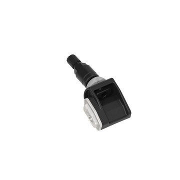 Schrader RDKS-Sensor 3174B