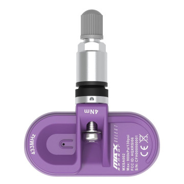 MaxSensor RDKS-Sensor Jumbo MXSA002-Silber