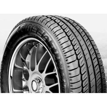 Insa Turbo ECO Evolution Plus 205/55R16 91V