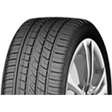 Fortune FSR303 255/50R19 107V