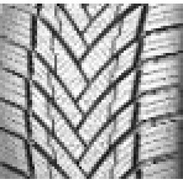 Rotalla Setula W Race S330 245/35R20 95V