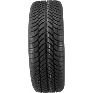 Sava Eskimo S3+ 195/65R15 91 T