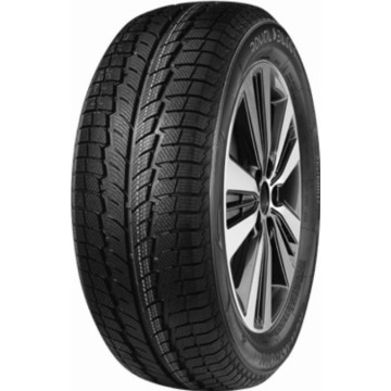 Royal Black Royal Winter HP 205/55R16 91 H