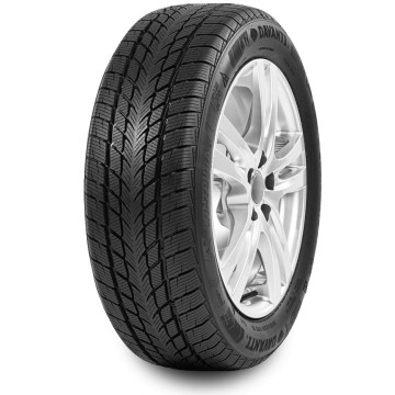 Davanti Wintoura 165/60R14 79 H