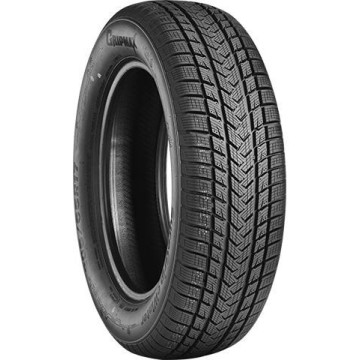 Gripmax SureGrip eWinter 245/45R17 99 V