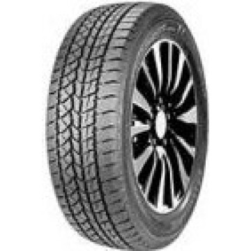 Double Star DW 02 205/65R15 94 T