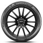 Pirelli P Zero Trofeo RS 315/30R19 100 (Z) Y